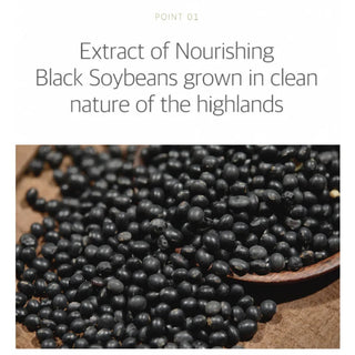 Soybean - Nourishing Toner - 300ml