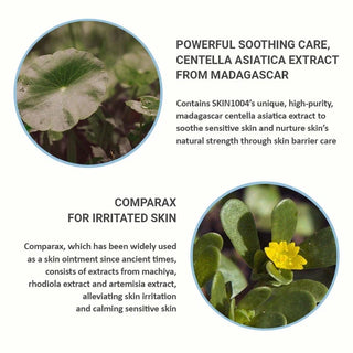 Madagascar Centella - Hyalu-Cica - First Ampoule