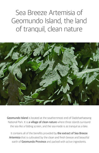 Mugwort - Calming Cream - 80ml