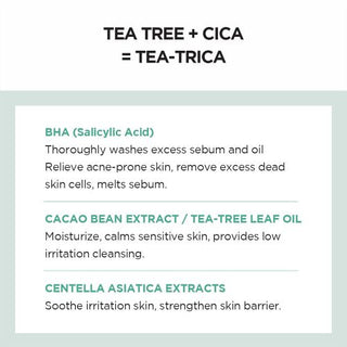Madagascar Centella - Tea Trica - BHA Facial Cleansing Foam - 125 ml
