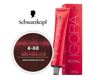 IGORA ROYAL - coloration permanente - 60ml