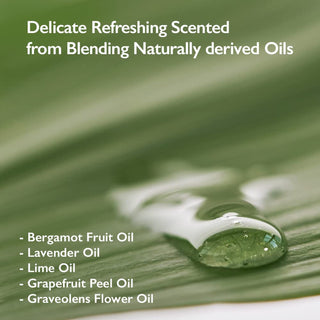 Black Bamboo Mist - 80 ml