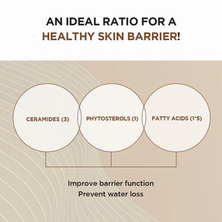 Madagascar Centella - Probio-Cica - Intensive Ampoule