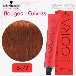 IGORA ROYAL - coloration permanente - 60ml