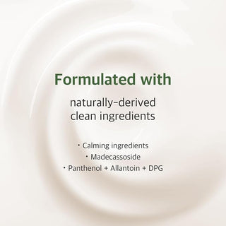 Mugwort - Calming Cream - 80ml