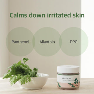 Mugwort - Calming Cream - 80ml