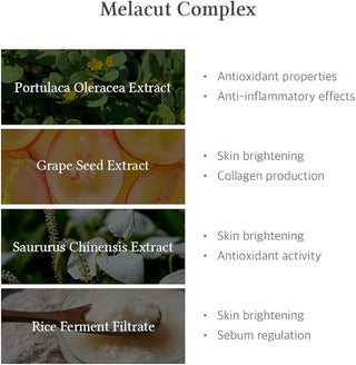 15% Niacinamide Purity Serum - 30ml