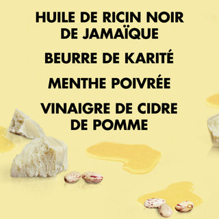 JBCO - Masque Fortifiant et Réparateur - 355 ml