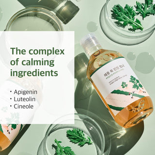 Mugwort - Calming Toner - 300ml