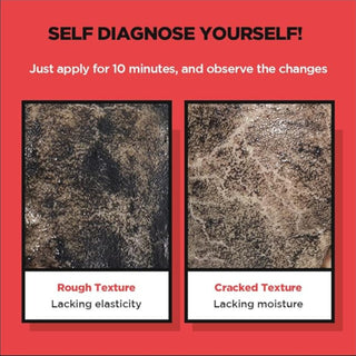 Zombie Beauty Mummy Pack & Activator Kit