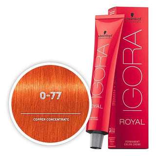 IGORA ROYAL - coloration permanente - 60ml