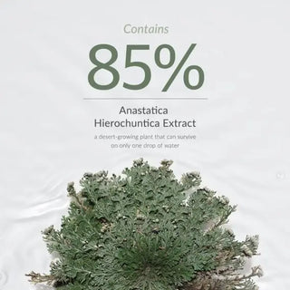 Anastatica Skin Conditioning Toner - 250ml
