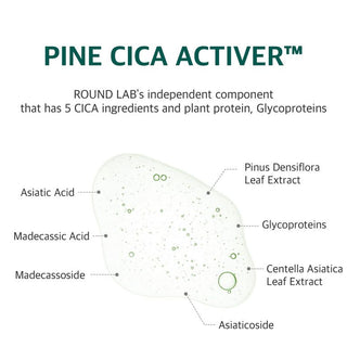 Pine - Calming Cica Pad - 50 pcs