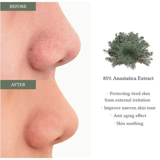 Anastatica Skin Conditioning Toner Pad - x65 Pads