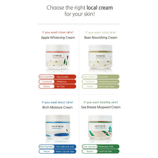 Mugwort - Calming Cream - 80ml