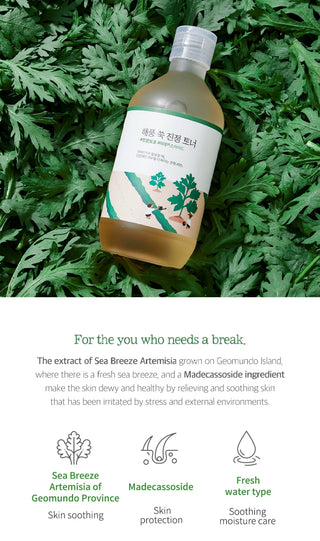 Mugwort - Calming Toner - 300ml