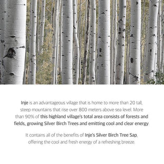 Birch Juice - Moisturizing Mask - 1 PC