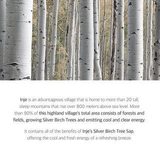Birch Juice Moisturizing Sunscreen SPF50+ PA++++ - 50ml