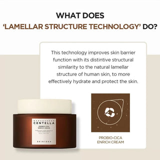 Madagascar Centella - Probio-Cica - Enrich Cream