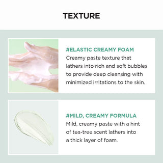 Madagascar Centella - Tea Trica - BHA Facial Cleansing Foam - 125 ml