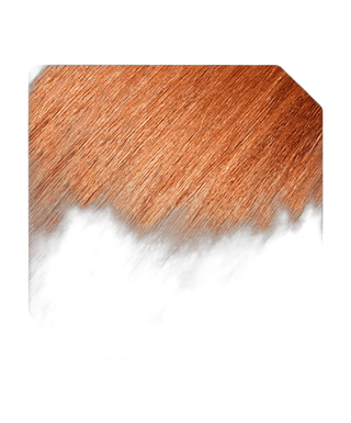 Coloration permanente - 100 ml - 9.4
