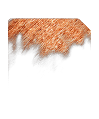 Coloration permanente - 100 ml - 10.4
