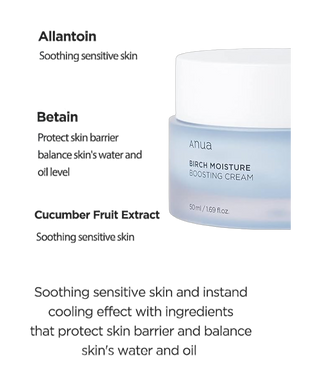 Birch Moisture Boosting Pad - 70 Pads - detoure
