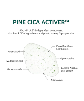 Pine - Calming Cica Pad - 50 pcs - detoure