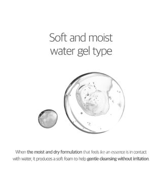 Birch Juice - Moisturizing Cleanser - 150ml - detoure