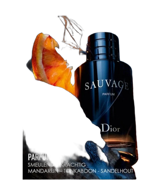 Sauvage - Parfum - detoure