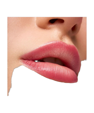Feutre contour des lèvres - Sleepover Lip Maker - detoure