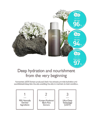 Black Rice Hyaluronic Toner - detoure
