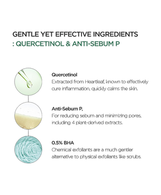 Heartleaf Quercetinol Pore Deep Cleansing Foam - 150 ml - detoure