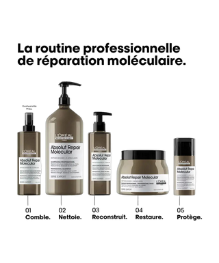 Absolut Repair Molecular Masque - detoure