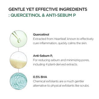 Heartleaf Quercetinol Pore Deep Cleansing Foam - 150 ml
