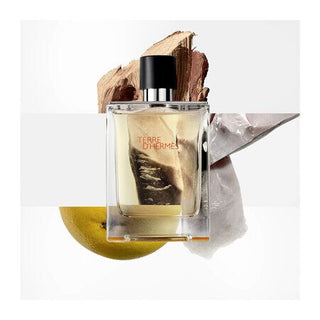 Terre D'Hermes - EDT (Eau De Toilette)