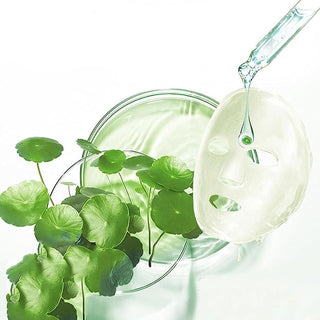 Masque Apaisant à la Centella Asiatica (Lot de 10) - 10 x 25 ml