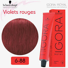 IGORA ROYAL - coloration permanente - 60ml