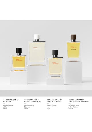 Terre D'Hermes - EDT (Eau De Toilette)