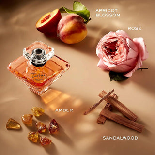 Tresor Femme - EDP (Eau De Parfum)